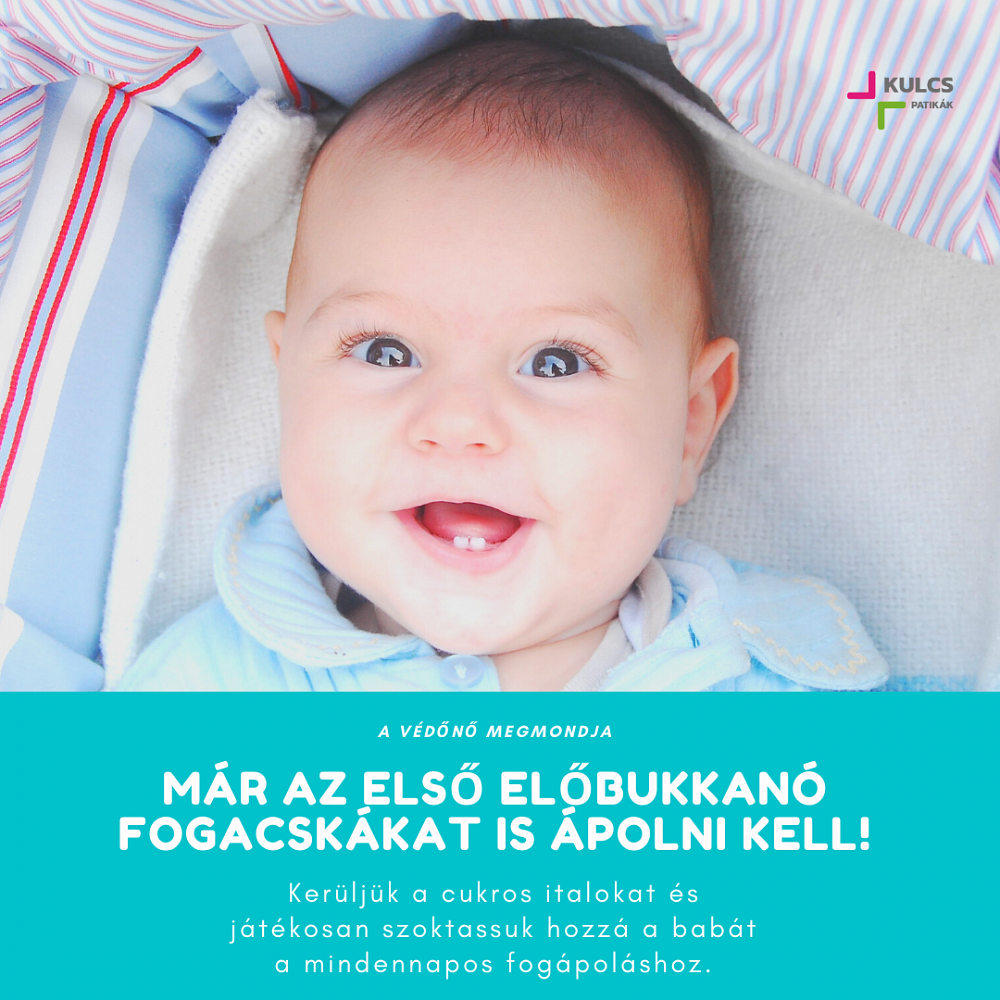 Az első fogak mindennapos ápolása kiemelten fontos Az első fogak mindennapos ápolása kiemelten fontos