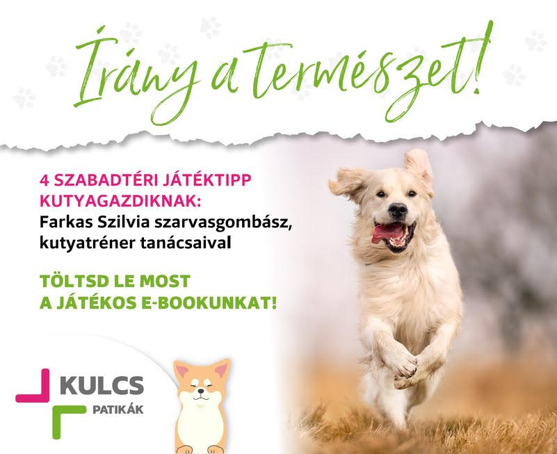 Irány a természet - kutyával!