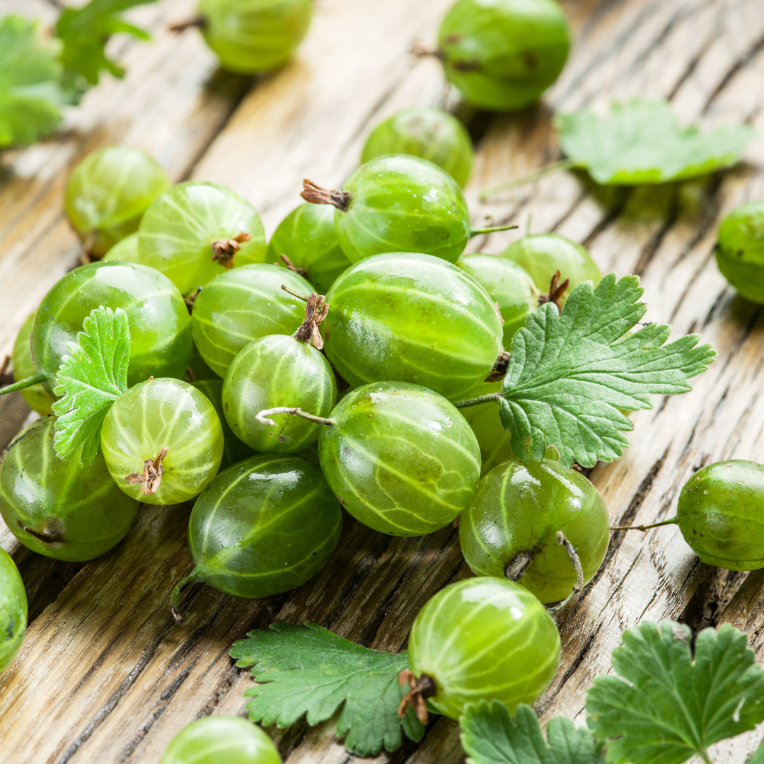 Túl az epren -ültess különleges bogyós gyümölcsöket! + FLORAPONT NYEREMÉNYJÁTÉK Túl az epren -ültess különleges bogyós gyümölcsöket! + FLORAPONT NYEREMÉNYJÁTÉK