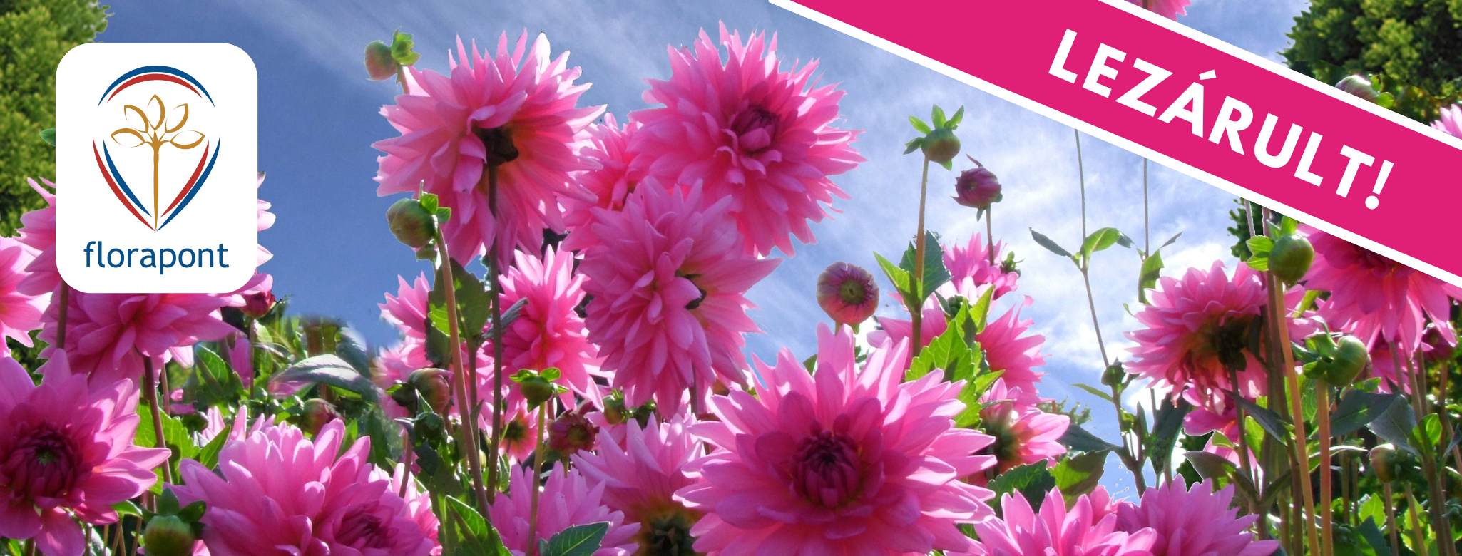 Játssz, és nyerj a Florapont és a Kulcs Patikák játékán!