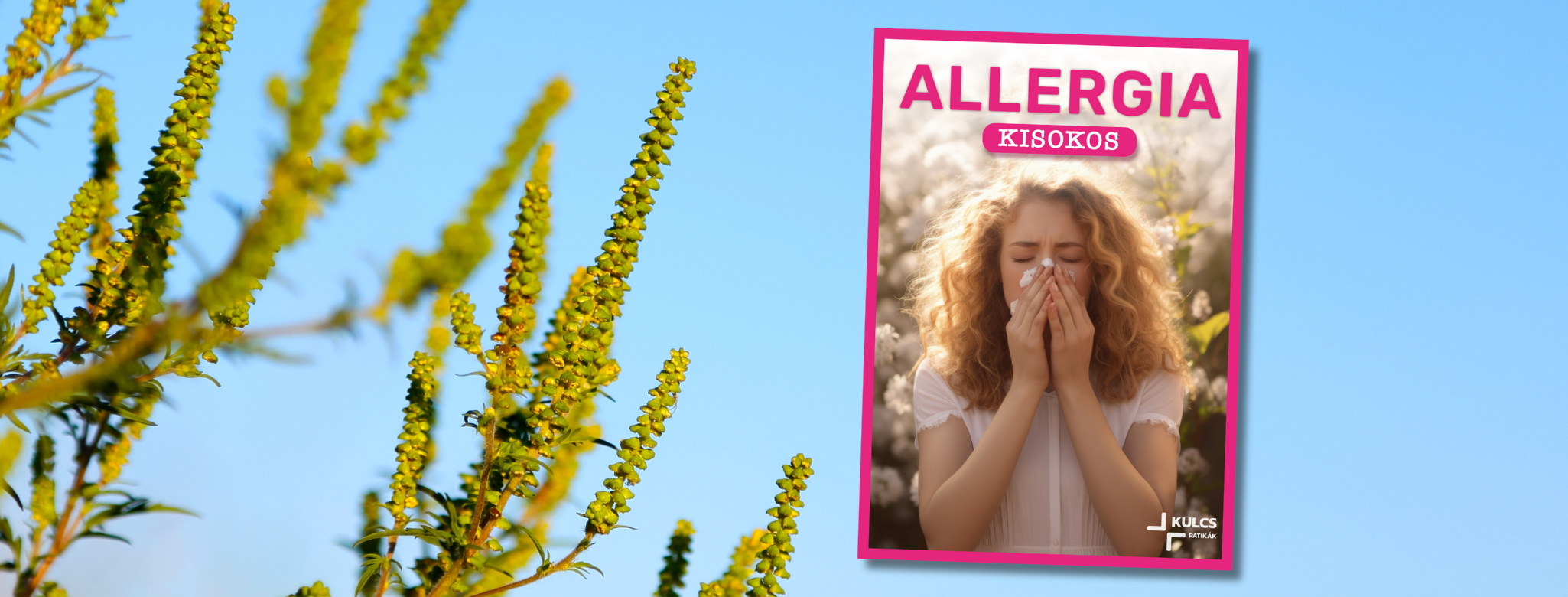 Allergia kisokos - töltsd le itt!